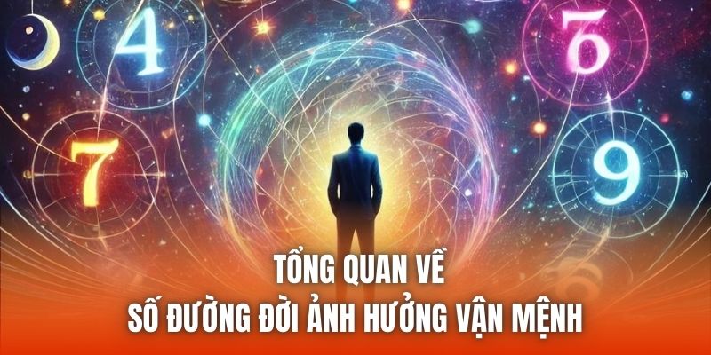  Tổng quan về số đường đời ảnh hưởng vận mệnh
